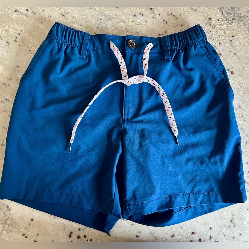 Men’s Chubbies Shorts